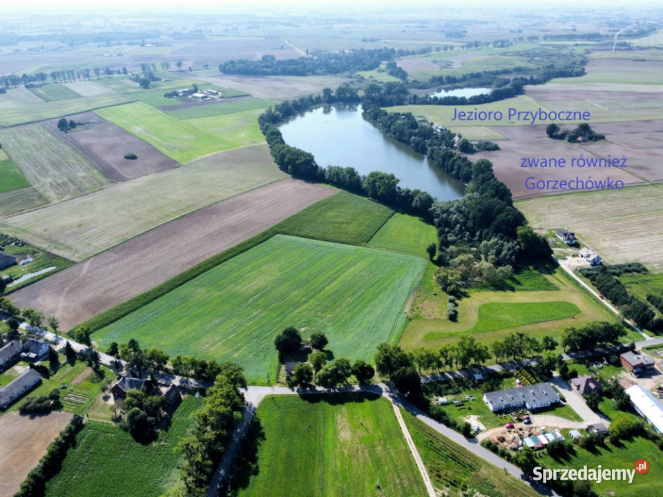 Mini ranczo pośród jezior Buk Góralski Sprzedaż kujawsko-pomorskie