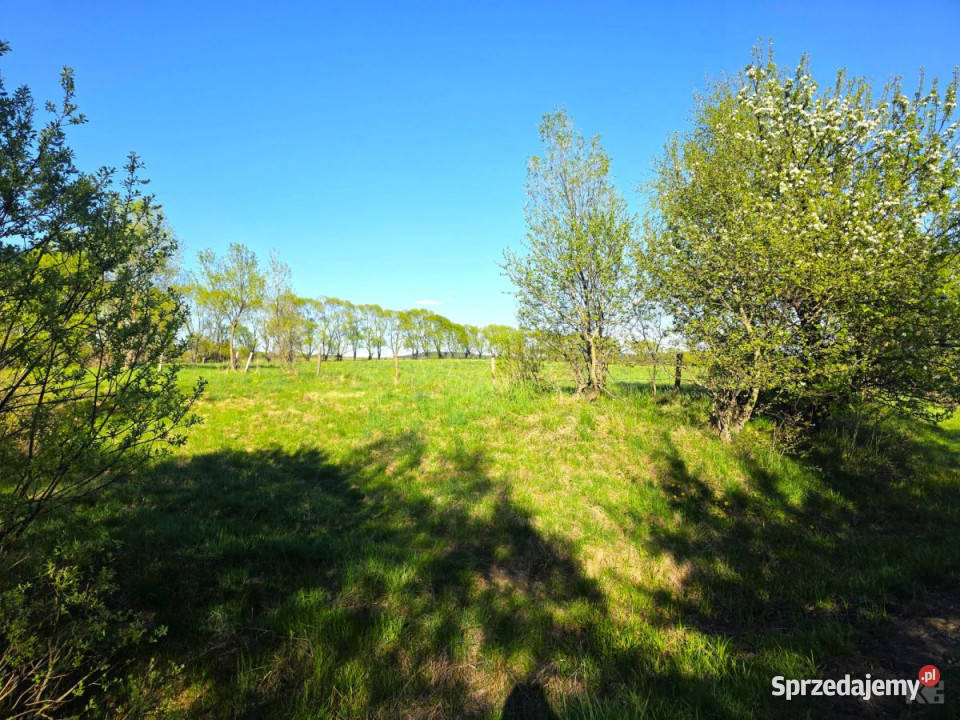 sprzedaży gruntu Lutowiska 23733 metry Sprzedaż