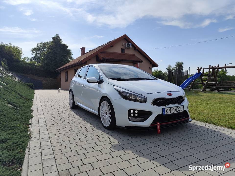 Kia Ceed GT Salon Polska światła przeciwmgielne małopolskie Nowy Sącz