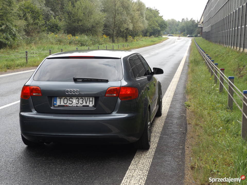 Audi A3 8P Sportback 2005 Oryginalny Lakier Sławków