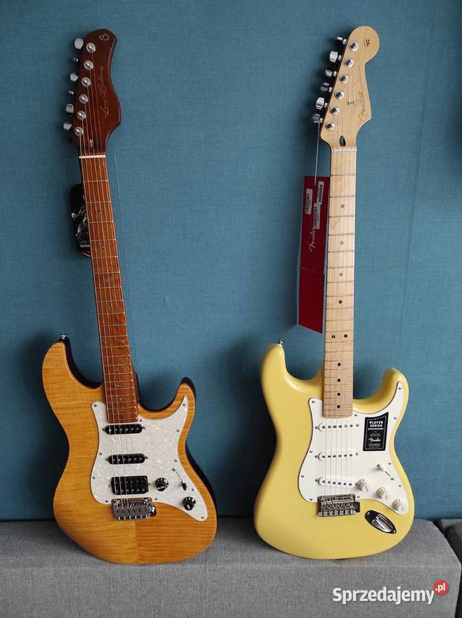 Fender Stratocaster, Epiphone Les Paul, Sire, wypożyczalnia.