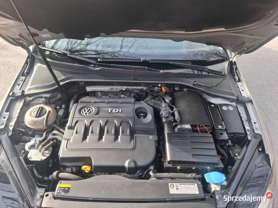 VW Golf VII 7 16 TDI clha Salon Polska PRYWATNY Kostrzyca