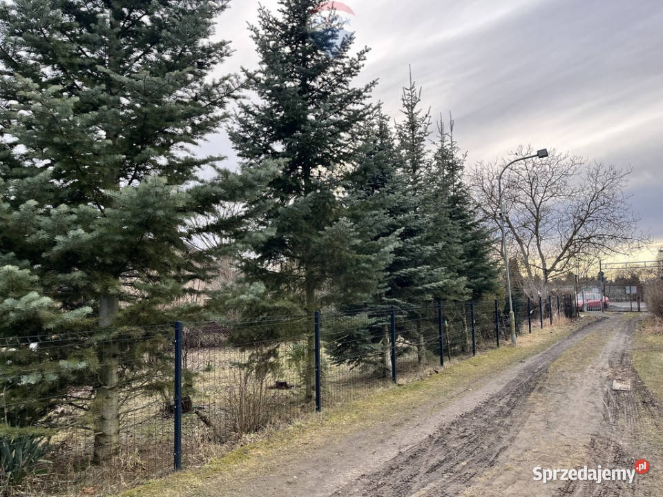 Działka ROD Bukowskiej Poznań sprzedam