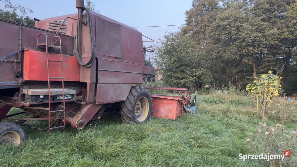 Kombajn Bizon ze stołem do rzepaku lubelskie Cyców