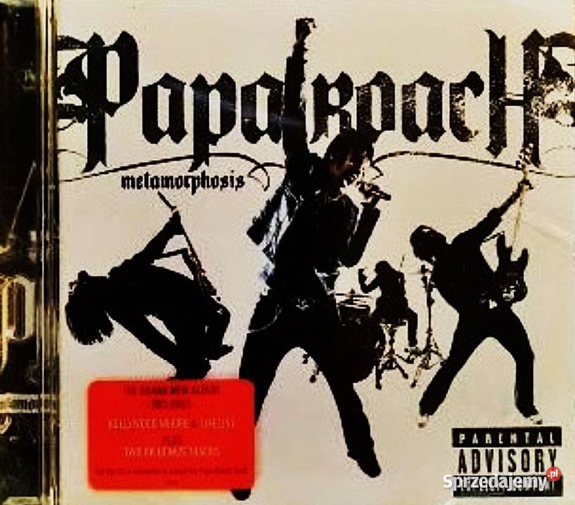 Wspaniały Album CD Pearl Jam Riot Act CD Zabrze