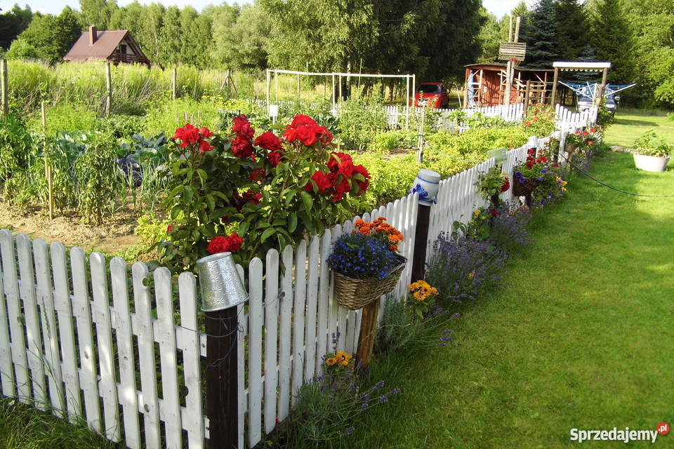 Dom jeziorem z linią brzegową w lesie w Borach kujawsko-pomorskie Taszewko