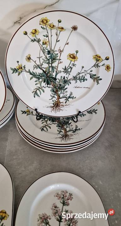 VilleroyBoch Botanica serwis obiadowy 5 osób Nałęczów