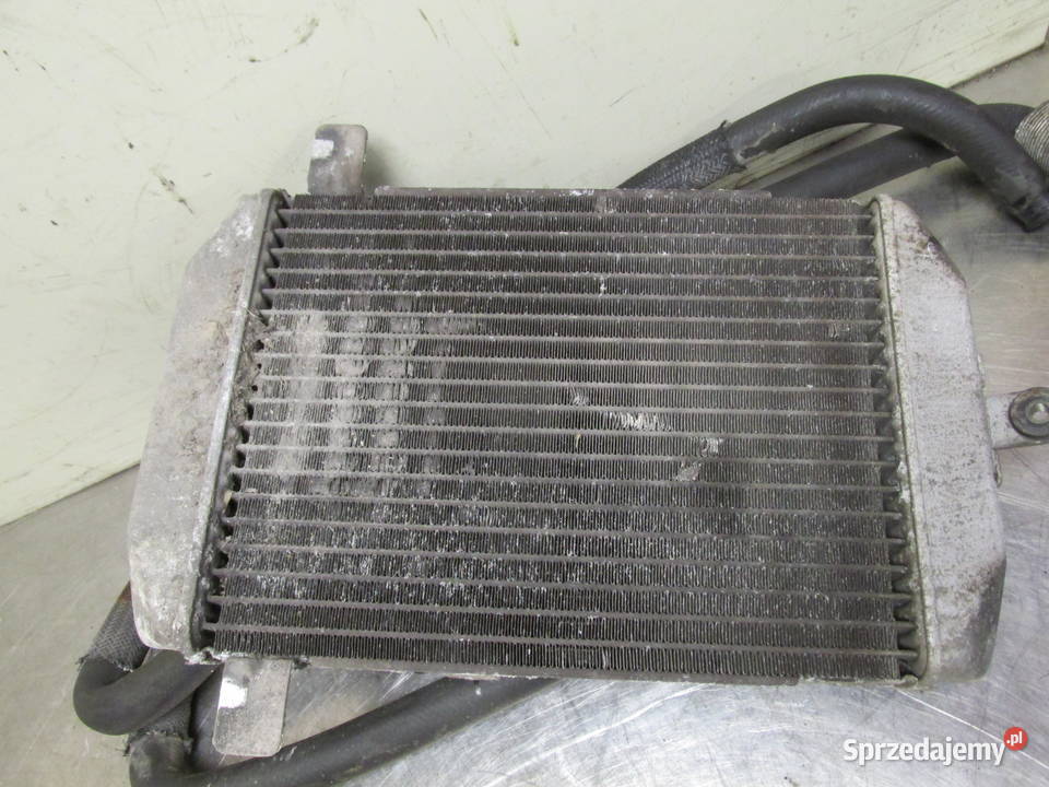 Sprzedam chłodnicę Suzuki Burgman 400 Sandomierz