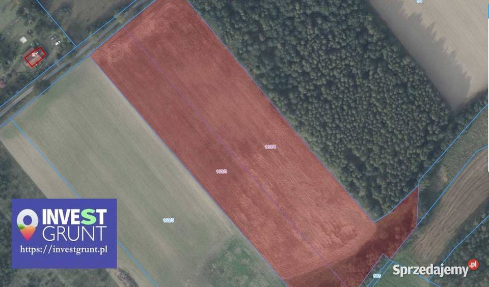 521 ha grunty rolne przetarg na dzierżawę 52100m2 Wynajem Grunty i działki Żeleźnica