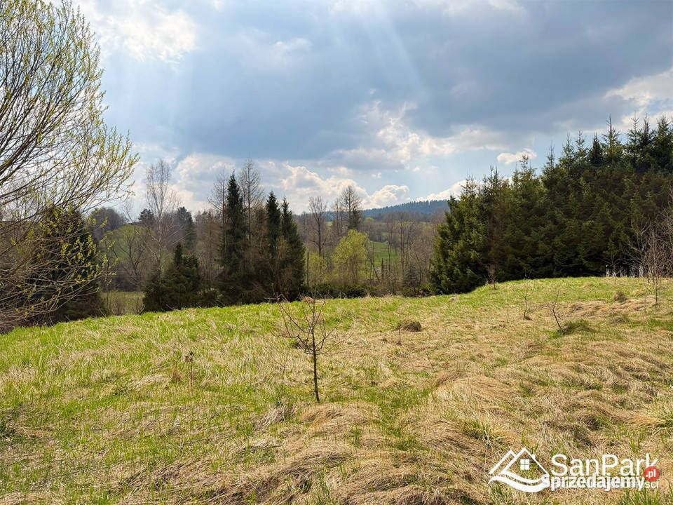 Ogłoszenie działka Hoszowczyk 2215m2