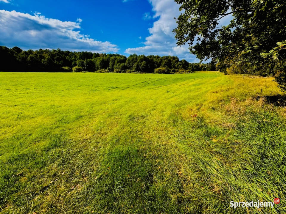 Wyjątkowa działka 242 ha wśród zieleni Cisza budowlana Nitki sprzedam