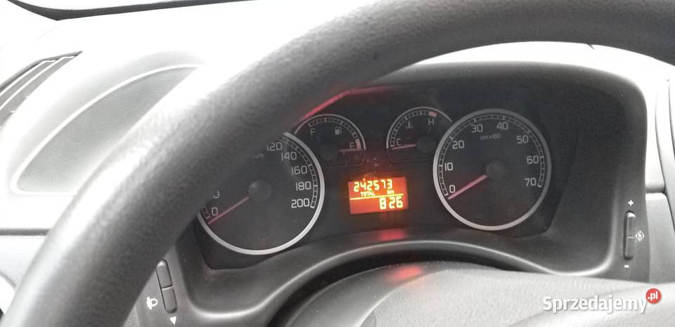 Punto Classic 12 złoty szerszeń Olsztyn