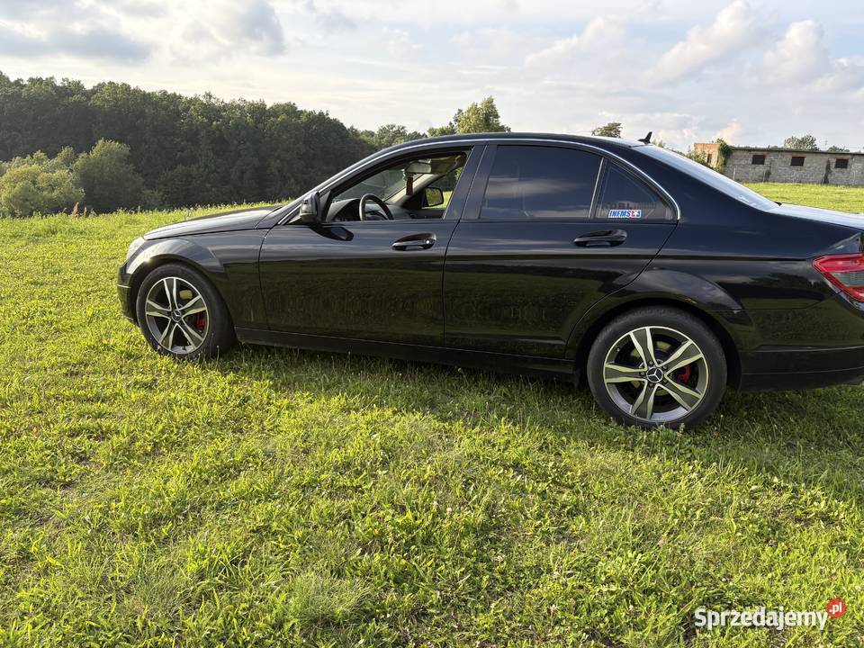 W204 Golub-Dobrzyń