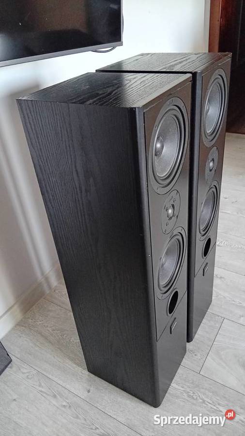 Kolumny Canton Nestor 603 Stereo wielkopolskie Leszno