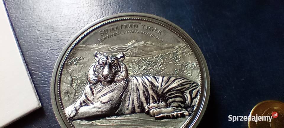 Stare monety Medal 238 Numizmatyka Lesko