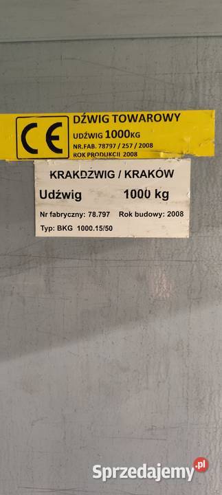 Winda towarowamagazynowa 1000 Produkcja sprzedam