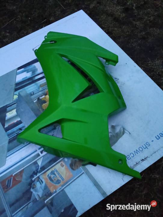 Kawasaki ninja 250 lewy bok sprzedam