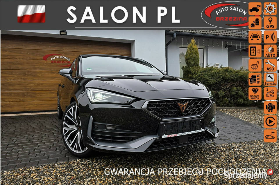 Cupra Leon serwis ASO panorama dach