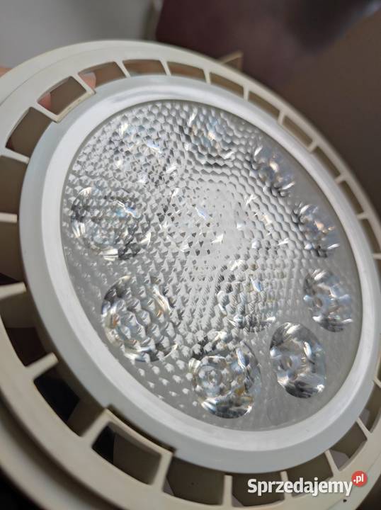 inteligentne oświetlenie żarówka LED Lux Lumen Kielce