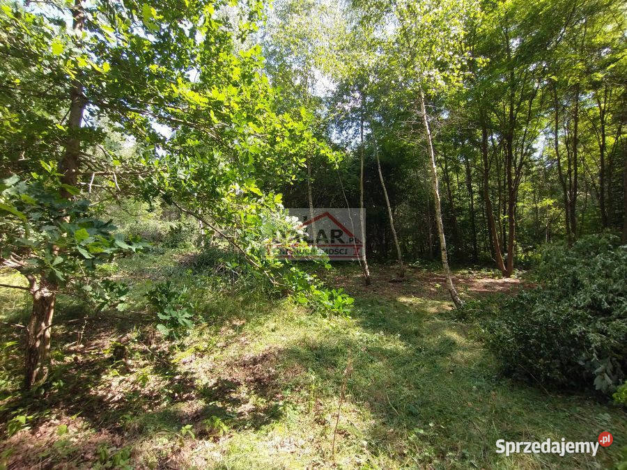 sprzedaży gruntu 1000m2 Nowe Racibory mazowieckie sprzedam