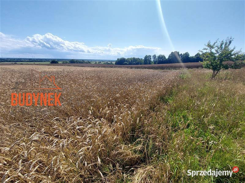 Działka rolna Kopnica 3000m2