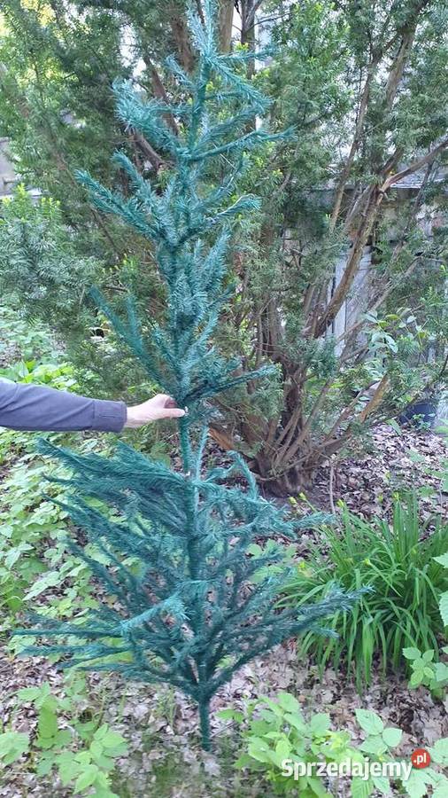 Choinka stara sztuczna PRL 2częściowa wkładana 2 Warszawa