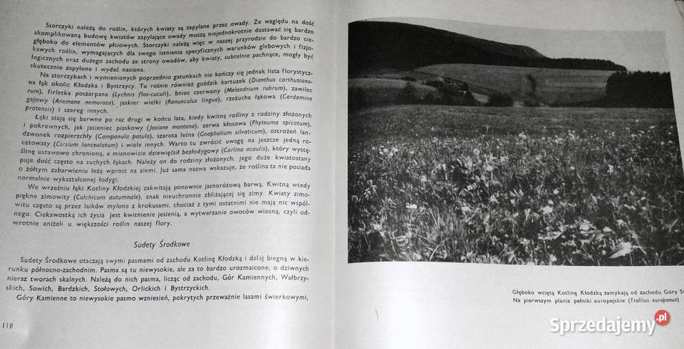 Skarby przyrody Dolnego Śląska Eugeniusz miękka z obwolutą Chełm