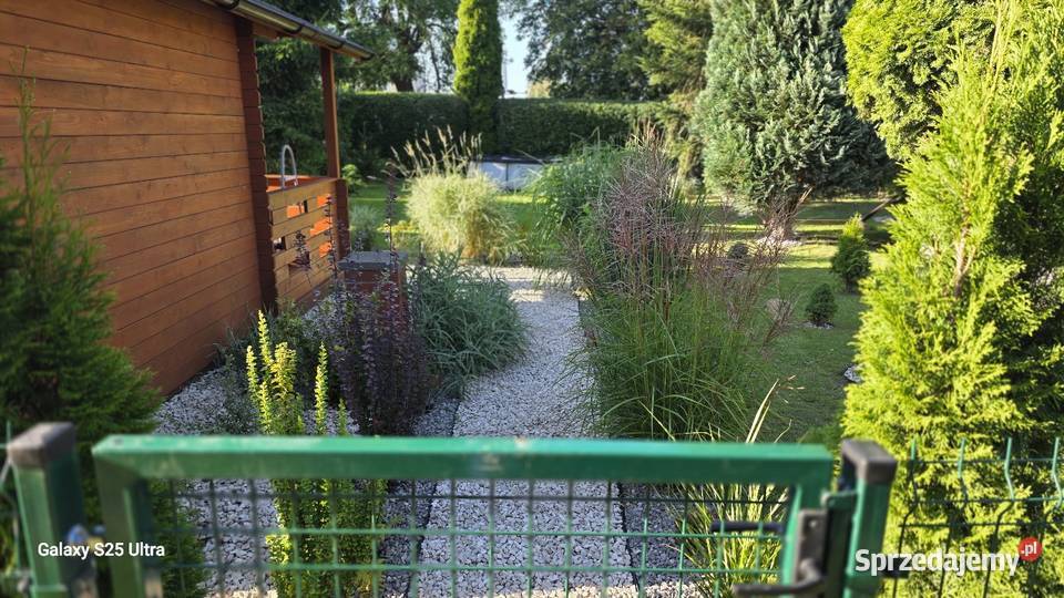 sprzedam działkę Rod pow 300m prąd woda Sprzedaż