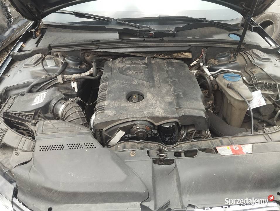 Audi a4 b8 Ściborzyce sprzedam
