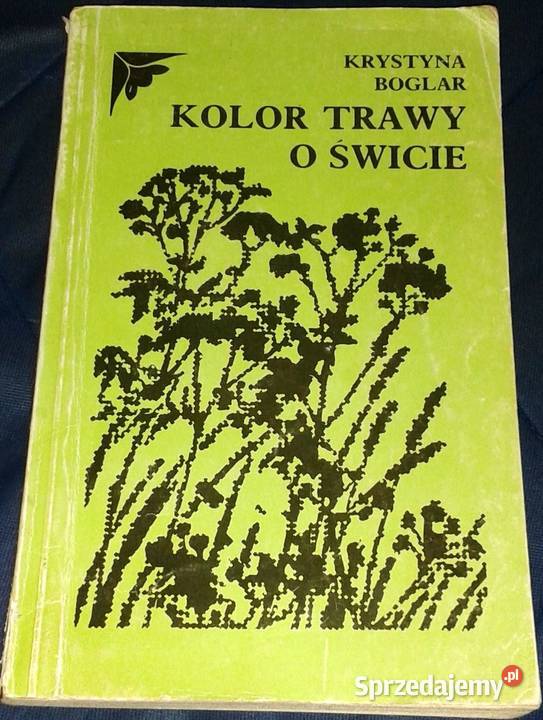 Kolor trawy o świcie Krystyna Boglar Chełm