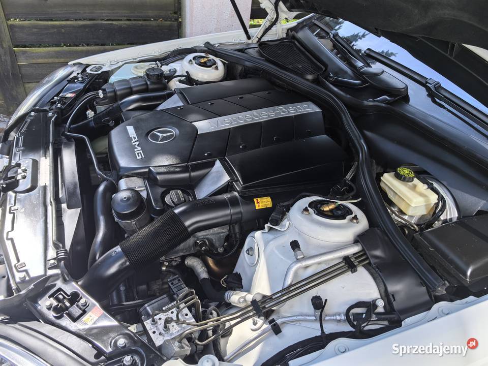 Mercedes w 220 55AMG Papowo Toruńskie