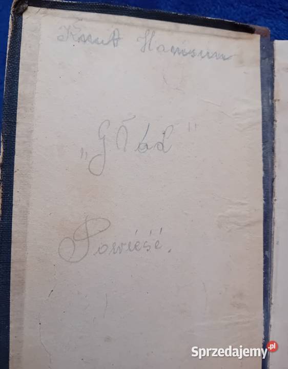 Knut Hamsun Głód Wydanie przedwojenne Półskórek Antykwariat Antykwariat