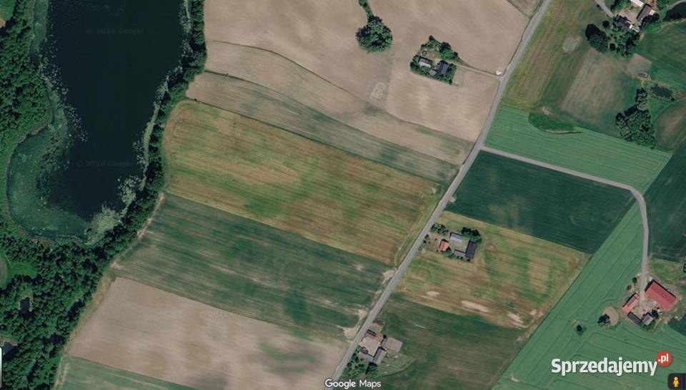 Sprzedam gospodarstwo dom budynki gospodarcze gospodarstwo Osieczek