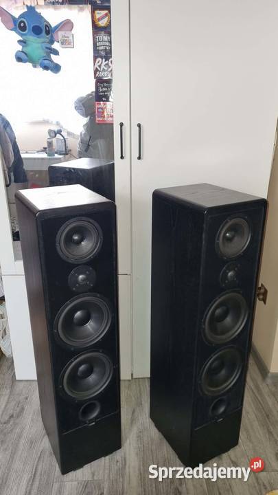 Kolumny podłogowe Canton Ergo 91 2x300Wat łódzkie Warta