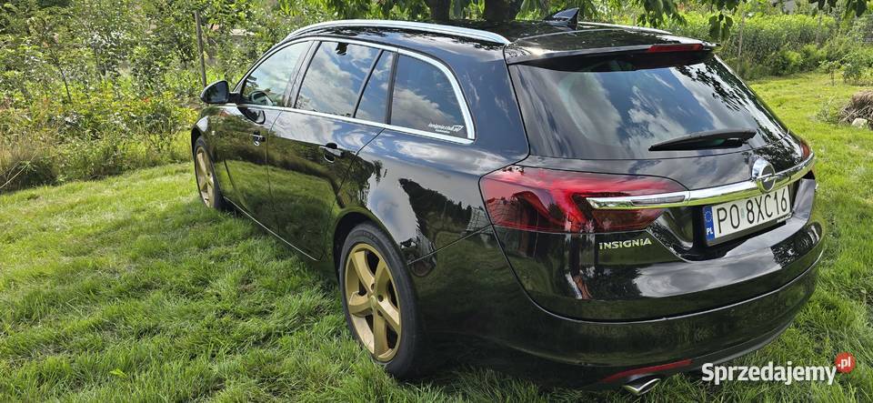 Opel Insignia 20 CDTI 170KM Insignia Gorzyczki