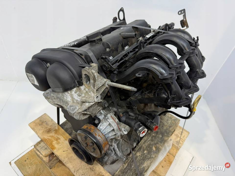 SILNIK SNJA Ford Fiesta VII MK7 125 82 KOMPLETNY Silniki kompletne Chełm
