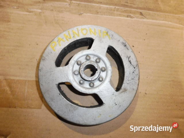 PANNONIA MAGNETO ZAPLONU SILNIKA Drzycim