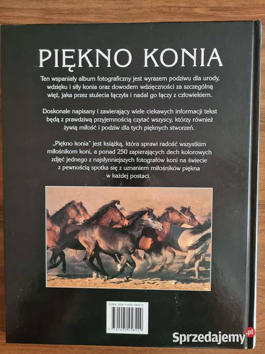 Piękno konia Pozostałe śląskie Dąbrowa Górnicza