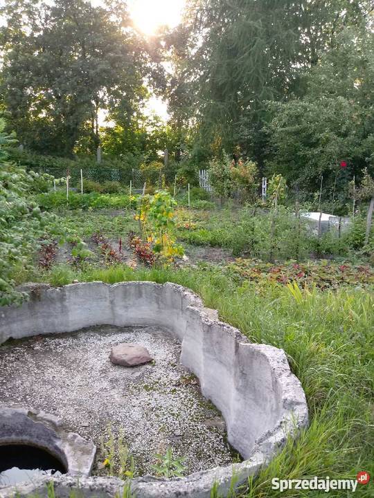 Ogródek Działkowy Hagera Zabrze RodSzarotka rekreacyjna