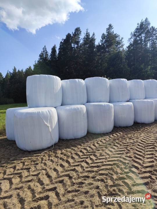 Bele sianokiszonki 125x120 podlaskie Grajewo