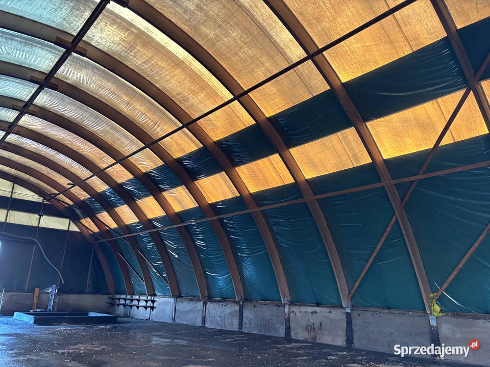 Hala łukowa 600m2 namiotowa Przekolno