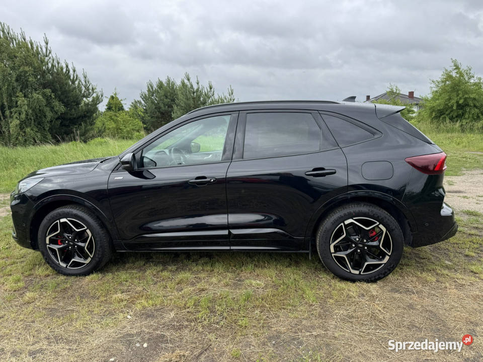 Ford Kuga 25Hybryda PlugIn 152 STLINE Automat 2x hybryda Turek