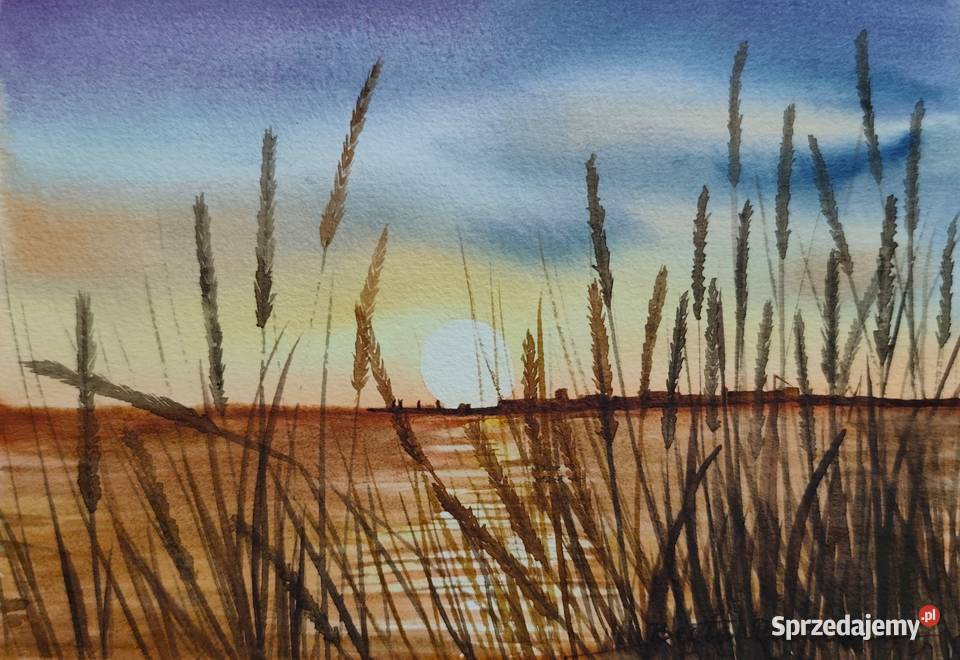 Akwarela Akwarelka Obraz pt Drugiej Stronie 15 x podlaskie sprzedam