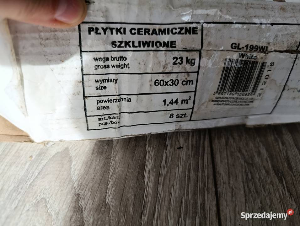 płytki ceramiczne szkliwione na ścianę białe Poznań