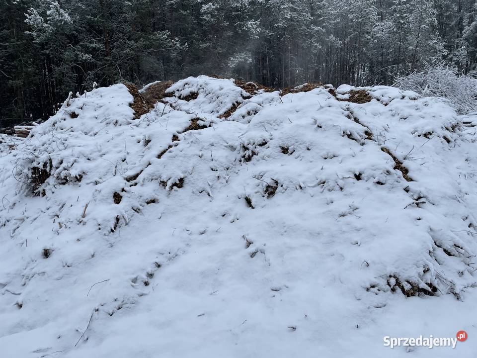 Sprzedam zrębkę do opału pod krzewy mazowieckie Białobrzegi