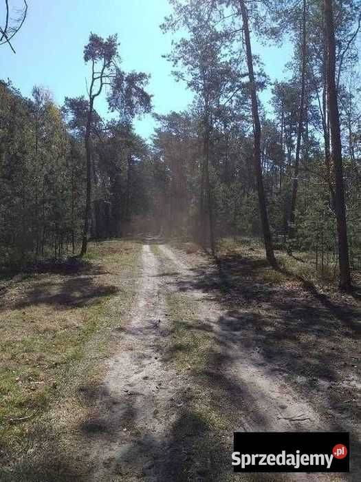 Działka leśna rekreacyjna biznes zamiana 50m mazowieckie