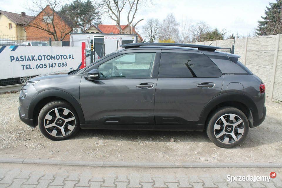 Citroen C4 Cactus I 2014 Ostrów Wielkopolski