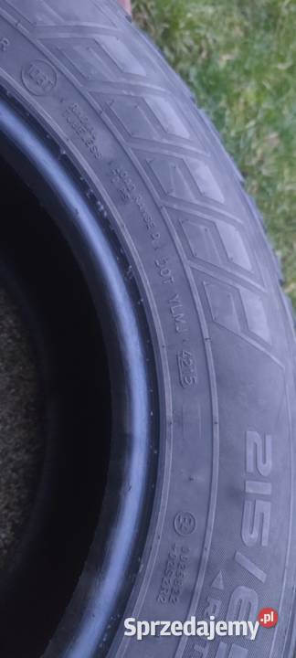 Opony Nokian wzmacniane Brzeg