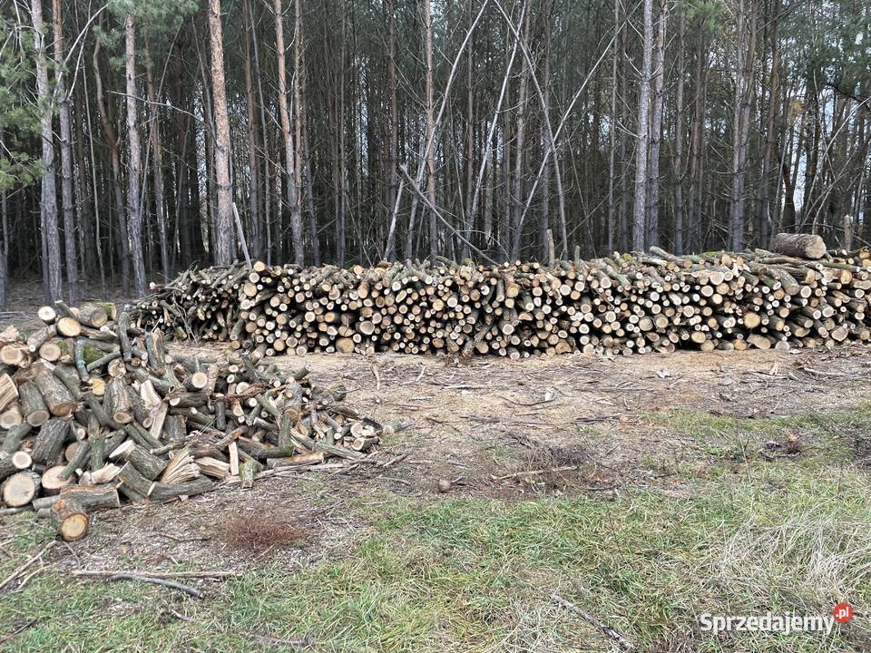 Drzewo na opał tanio sprzedam