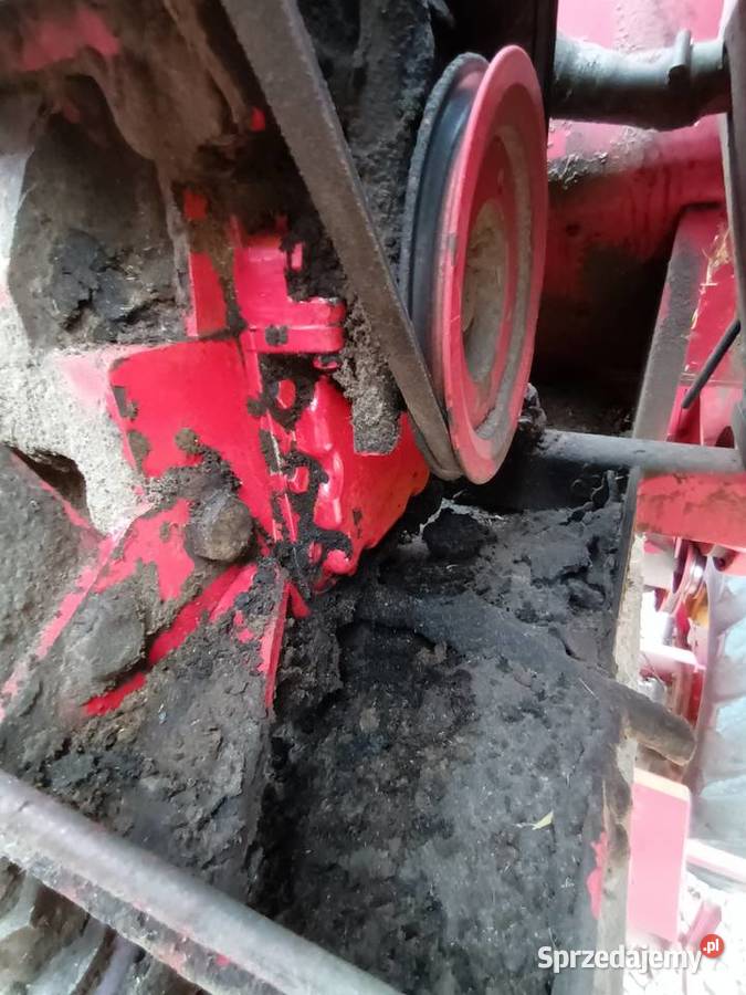 Kombajn Massey Ferguson 86 Silnik 4203 Bukowie